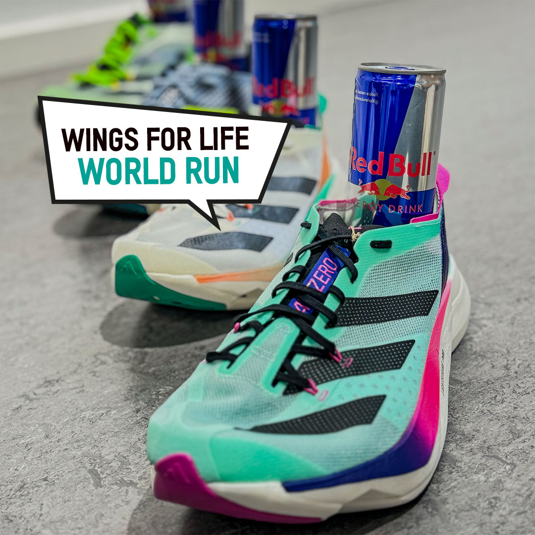 wings for life world run spendenlauf für rückenmarkforschung